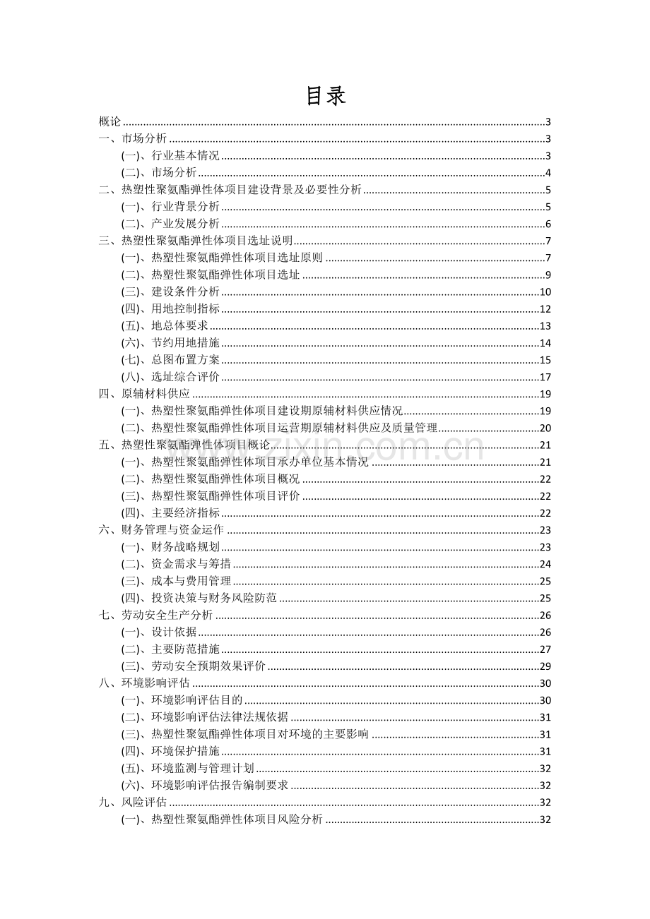 热塑性聚氨酯弹性体项目可行性分析报告.docx_第2页