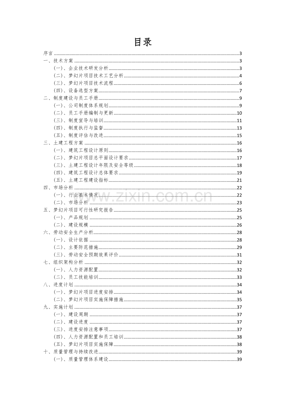 梦幻片项目可行性研究报告.docx_第2页