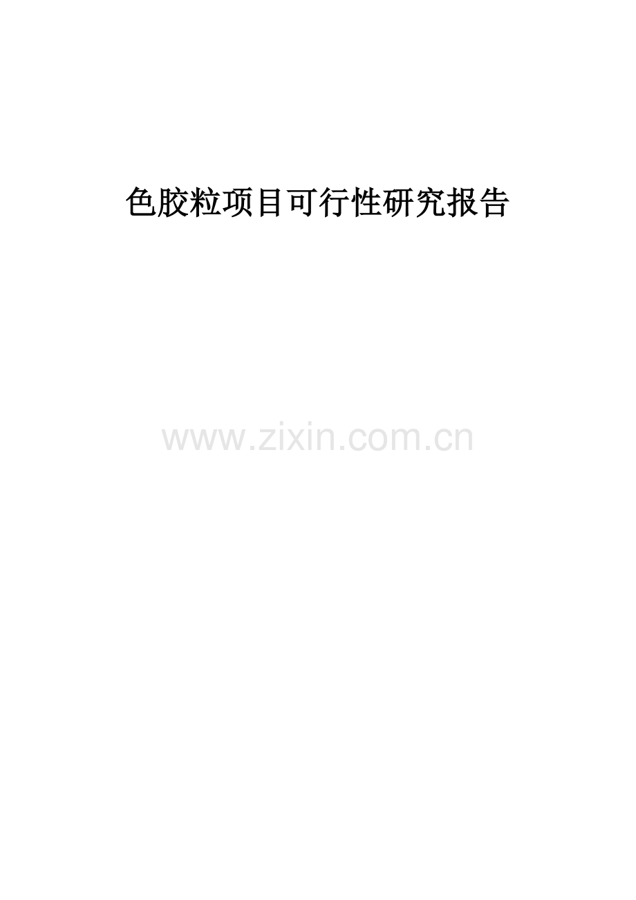 色胶粒项目可行性研究报告.docx_第1页