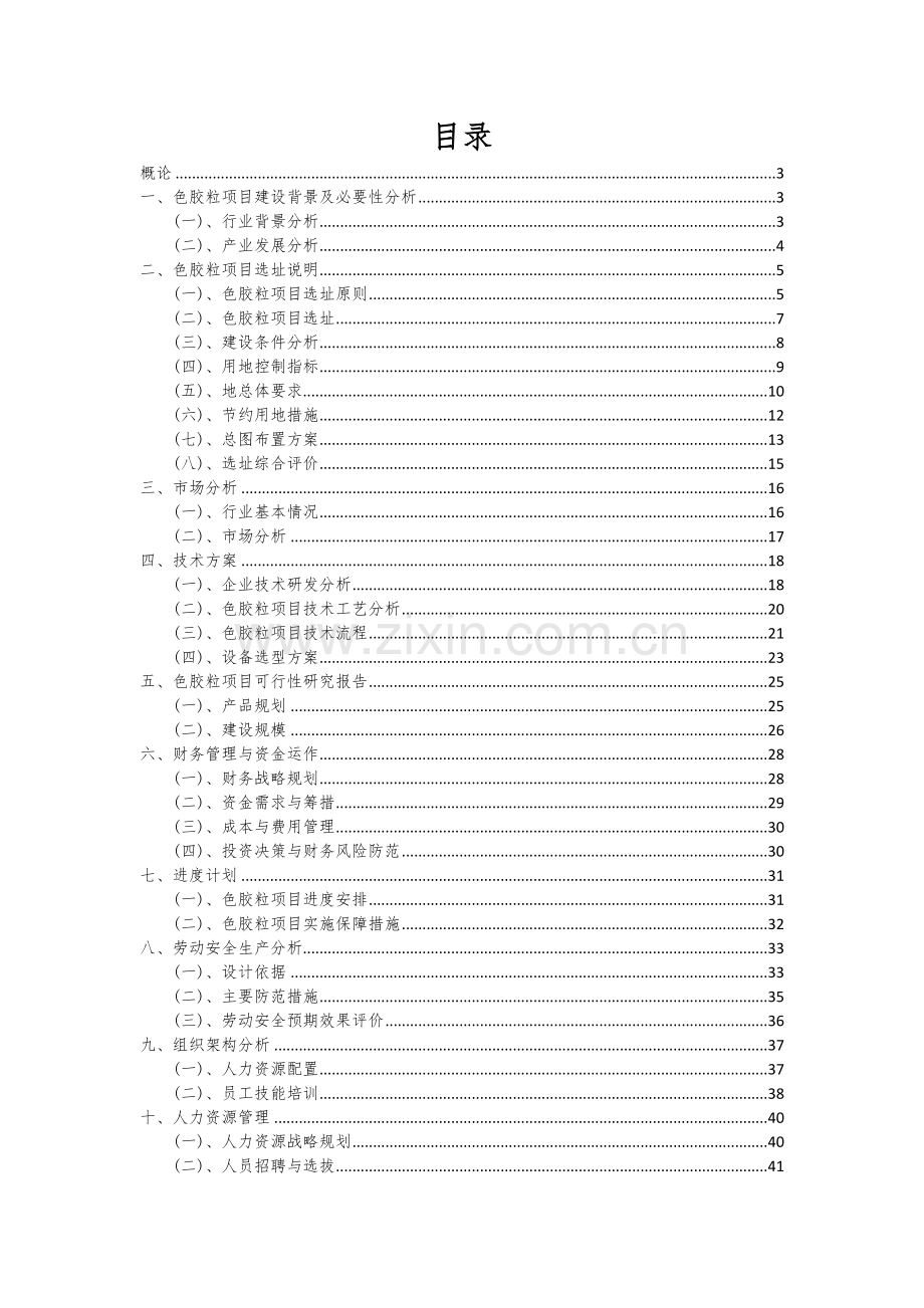 色胶粒项目可行性研究报告.docx_第2页