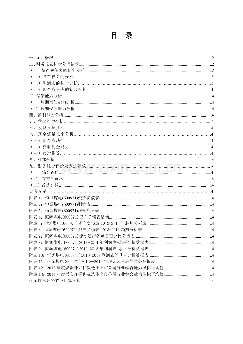 恒源煤电600971财务分析报告.docx_第1页
