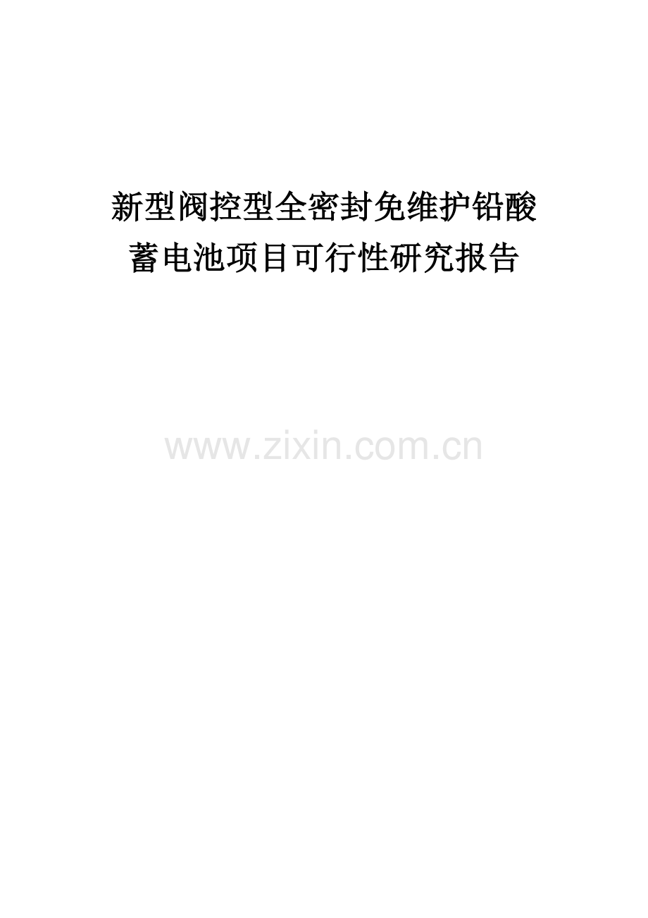 新型阀控型全密封免维护铅酸蓄电池项目可行性研究报告.docx_第1页