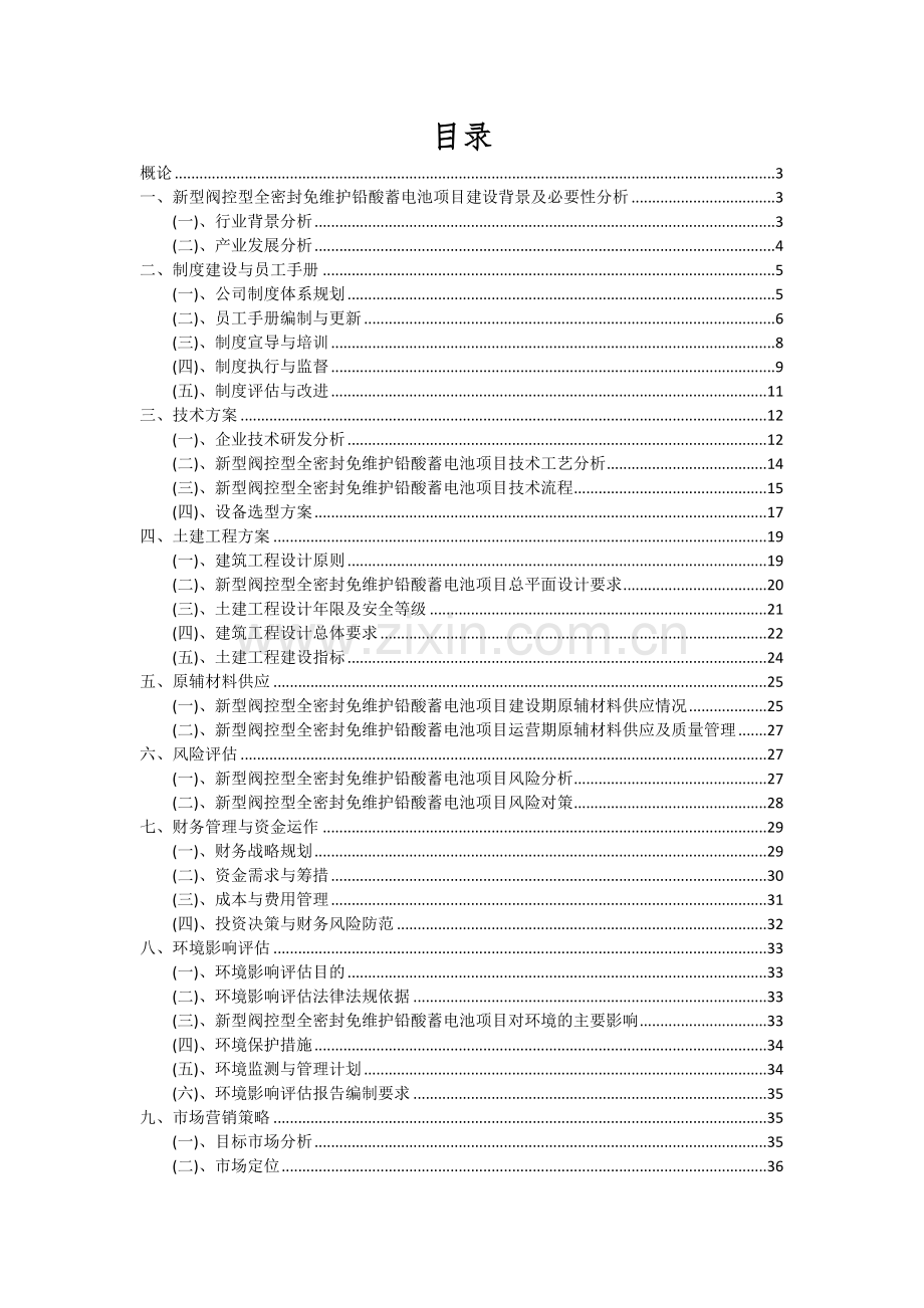 新型阀控型全密封免维护铅酸蓄电池项目可行性研究报告.docx_第2页