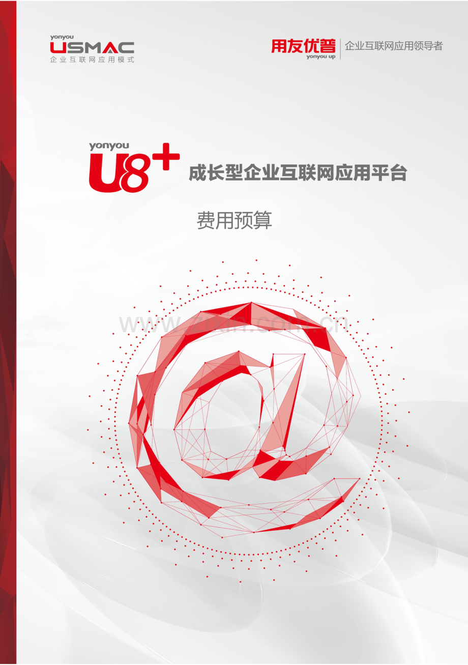 费用预算概述.docx_第1页
