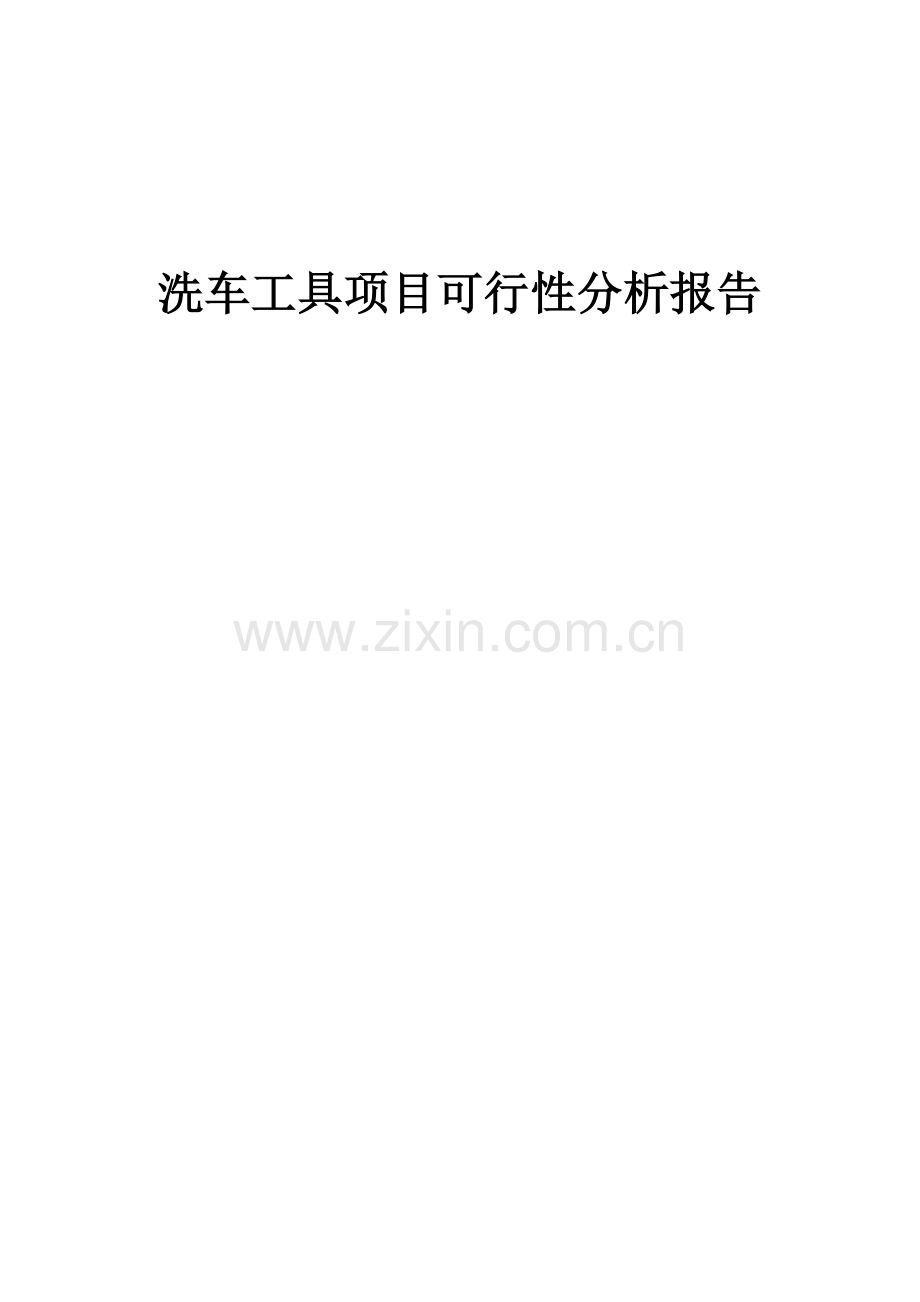 洗车工具项目可行性分析报告.docx_第1页