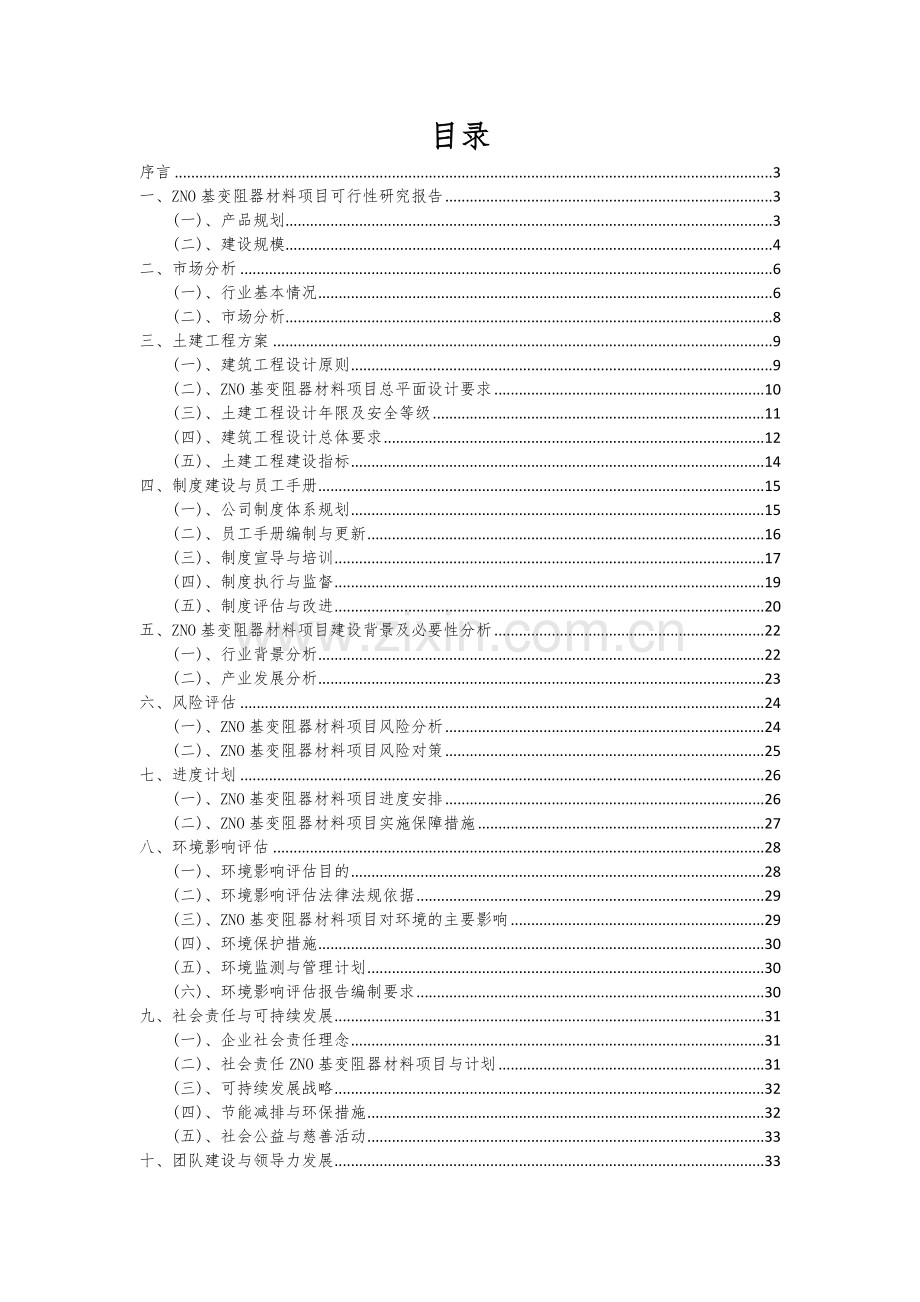 ZNO基变阻器材料项目可行性研究报告.docx_第2页