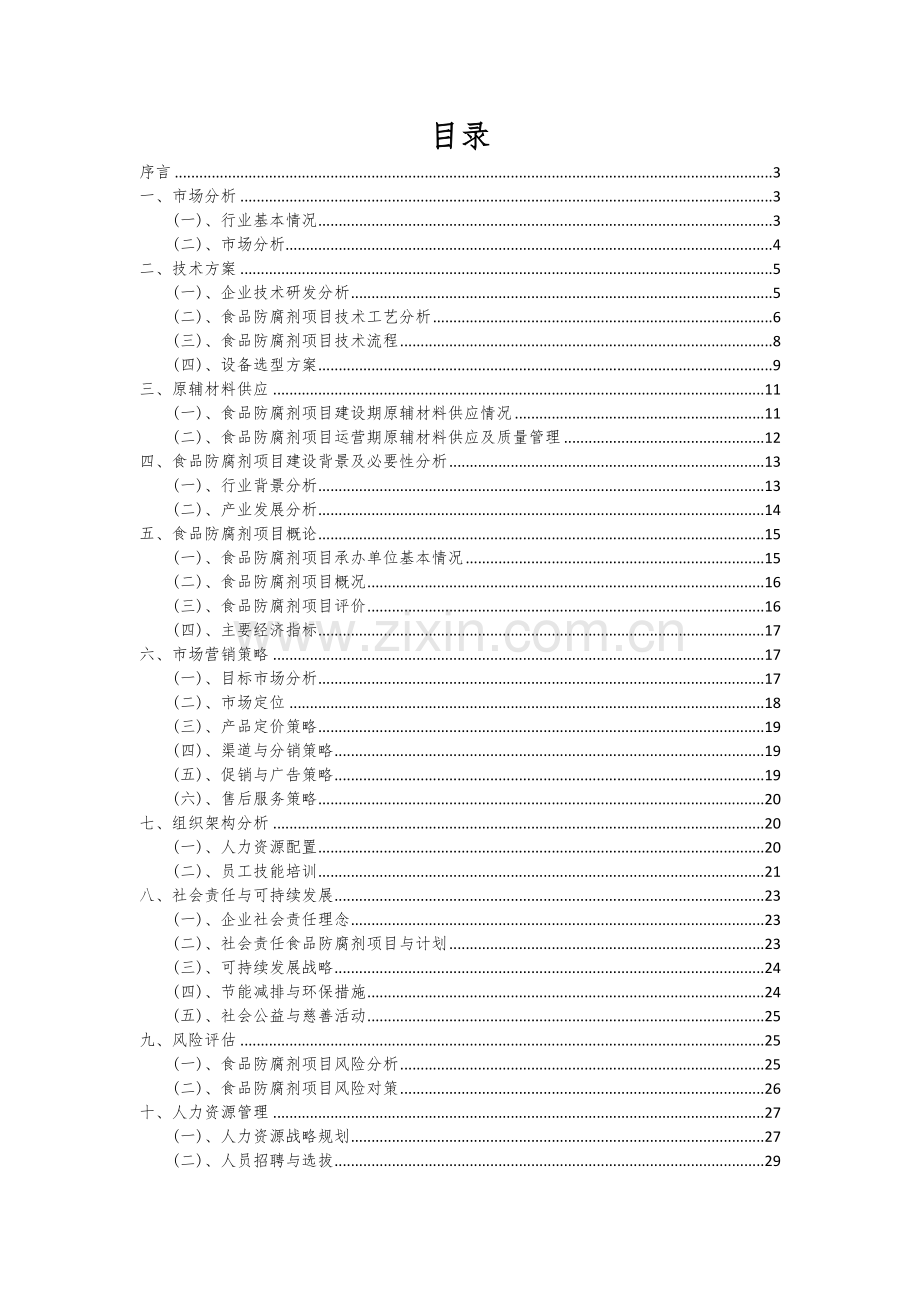 食品防腐剂项目可行性研究报告.docx_第2页