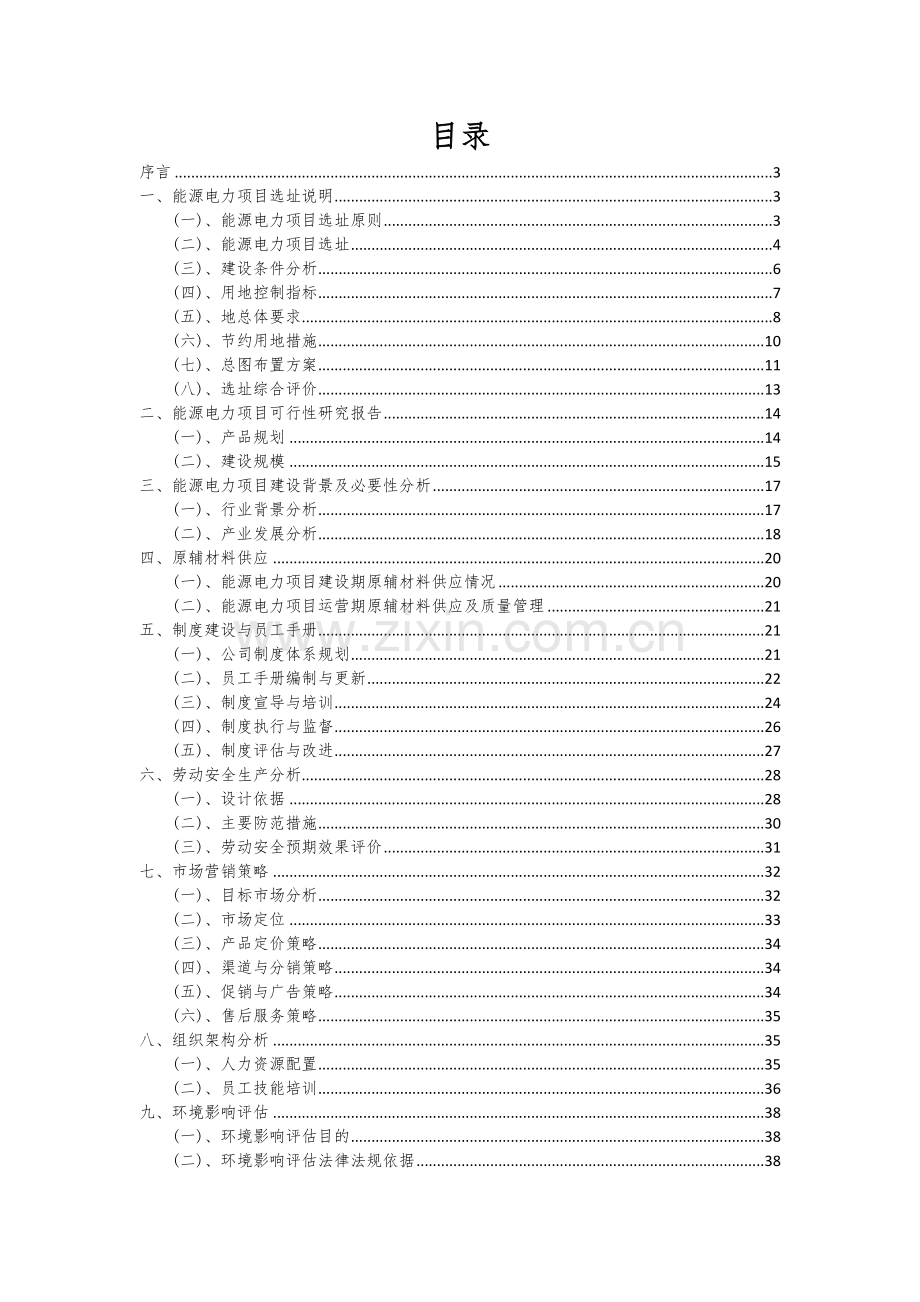 能源电力项目可行性分析报告.docx_第2页