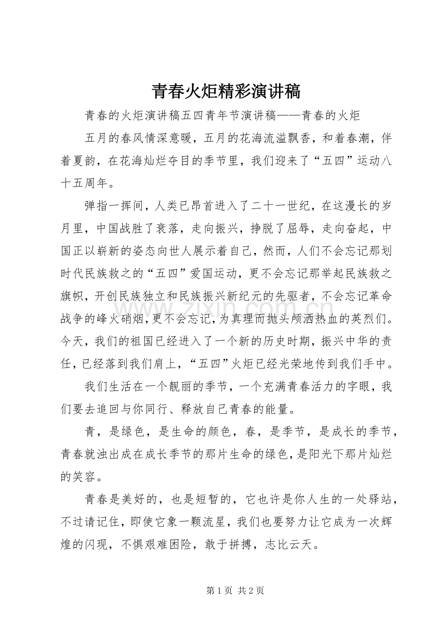 青春火炬精彩演讲稿范文.docx_第1页