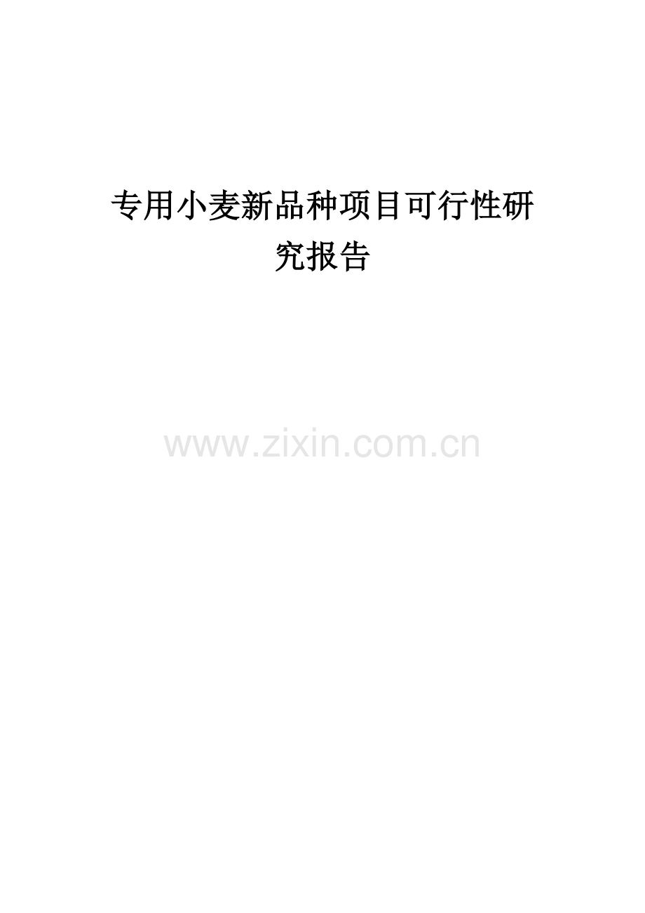 专用小麦新品种项目可行性研究报告.docx_第1页