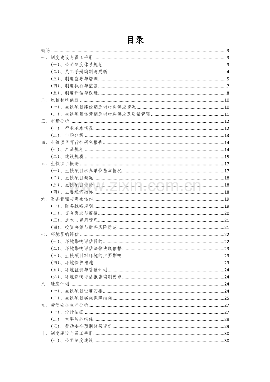 生铁项目创业计划书.docx_第2页