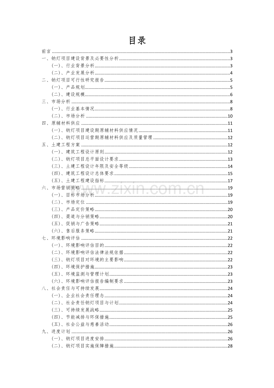 钠灯项目可行性研究报告.docx_第2页