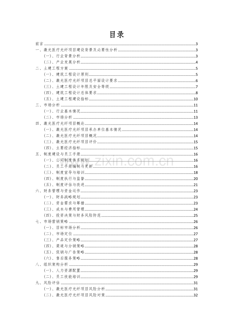 激光医疗光纤项目可行性分析报告.docx_第2页