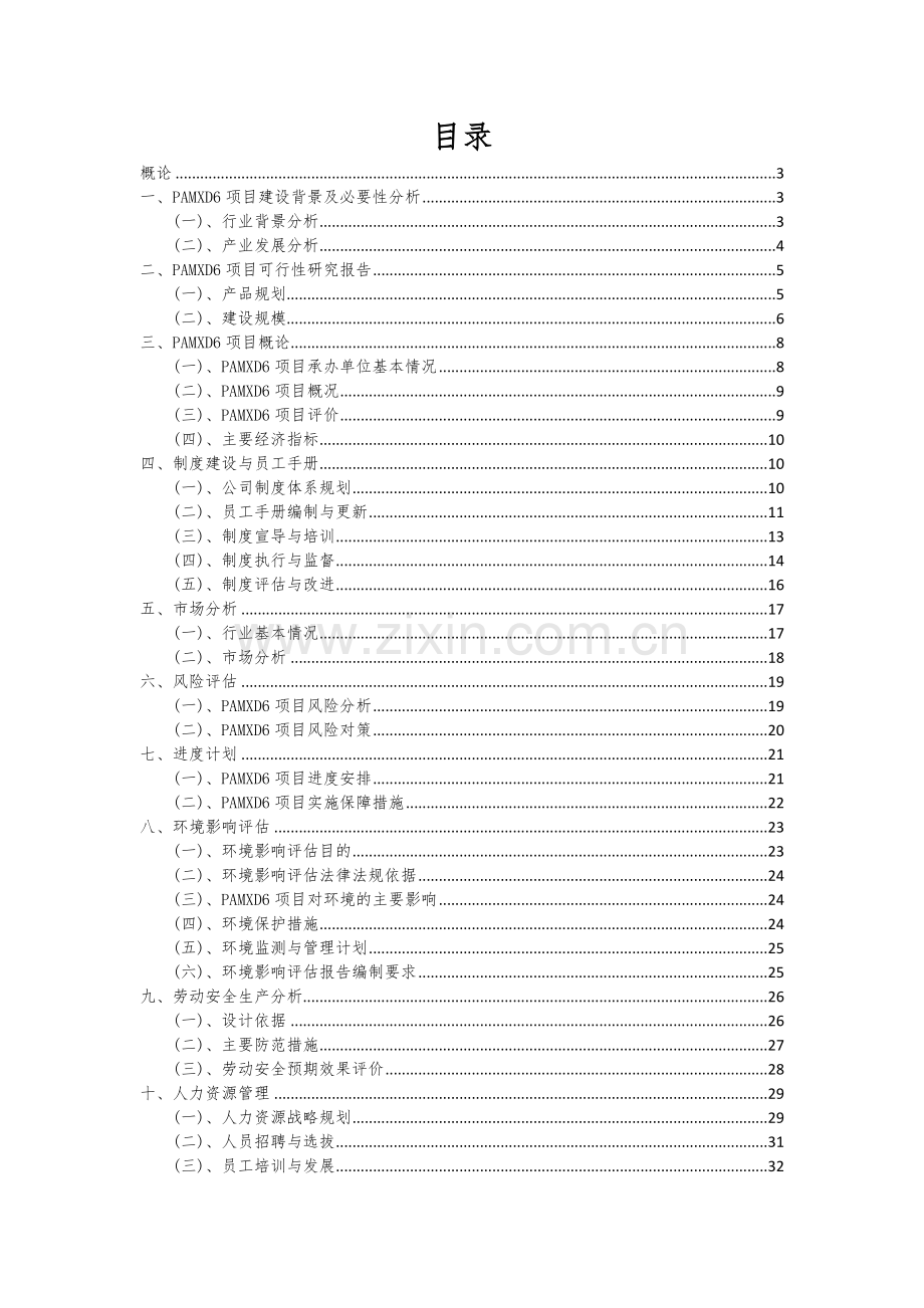 PAMXD6项目创业计划书.docx_第2页