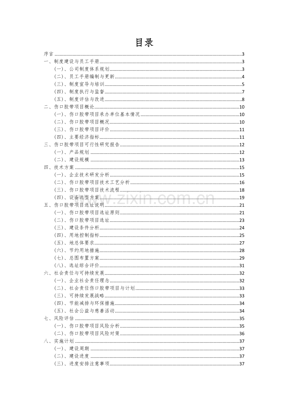 伤口胶带项目可行性分析报告.docx_第2页