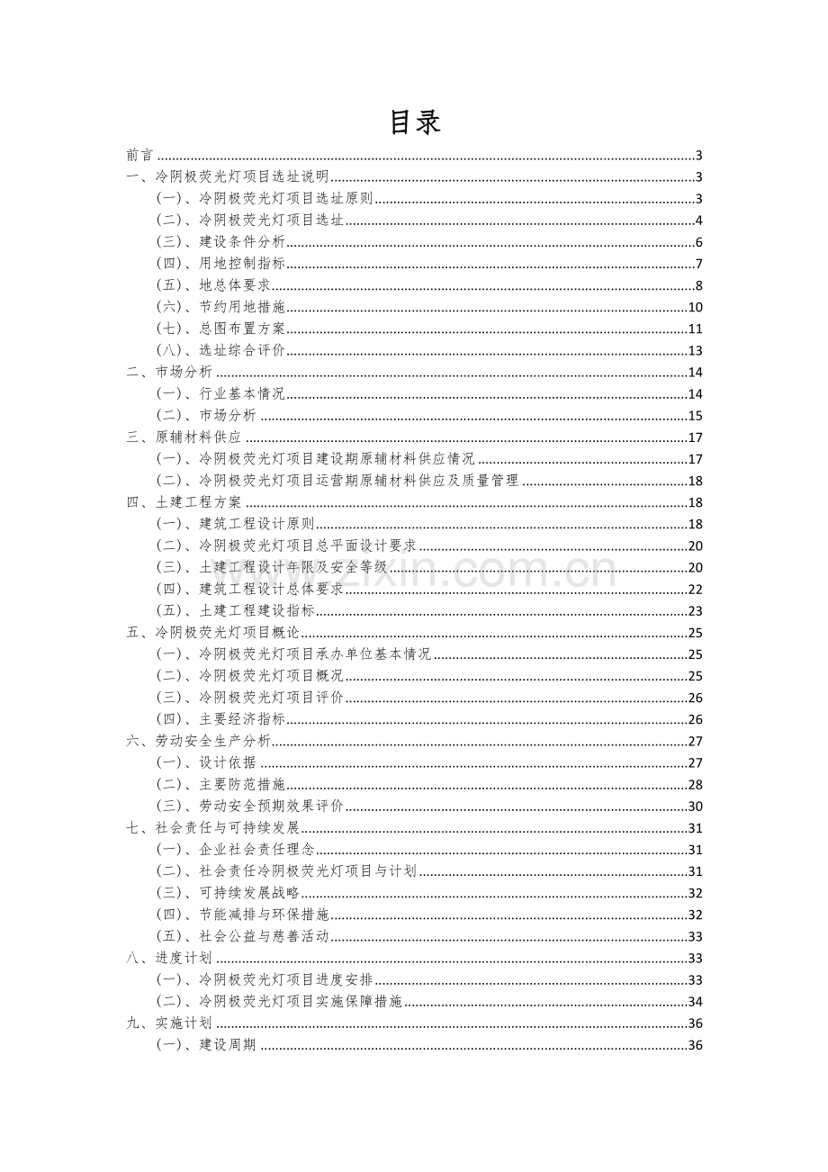 冷阴极荧光灯项目可行性分析报告.docx_第2页