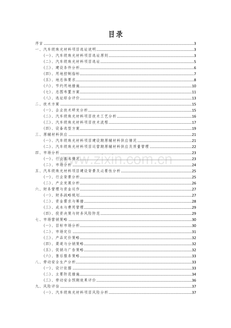 汽车级珠光材料项目可行性分析报告.docx_第2页