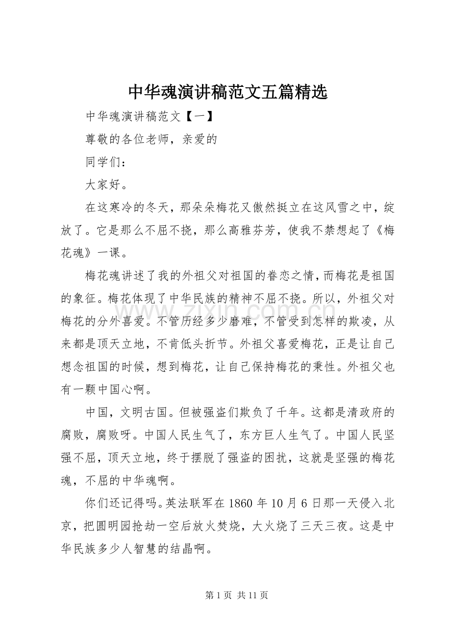 中华魂演讲稿五篇.docx_第1页