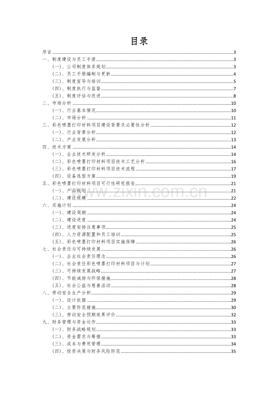 彩色喷墨打印材料项目创业计划书.docx_第2页