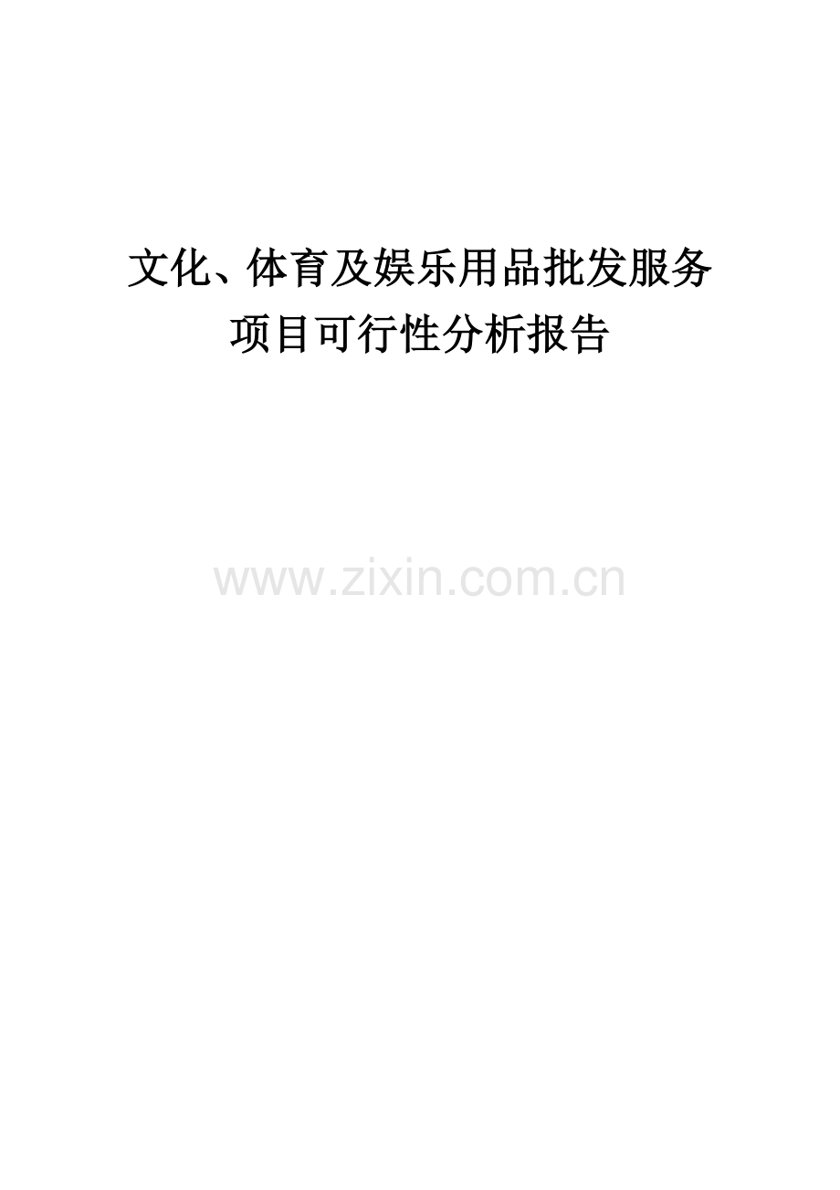 文化、体育及娱乐用品批发服务项目可行性分析报告.docx_第1页