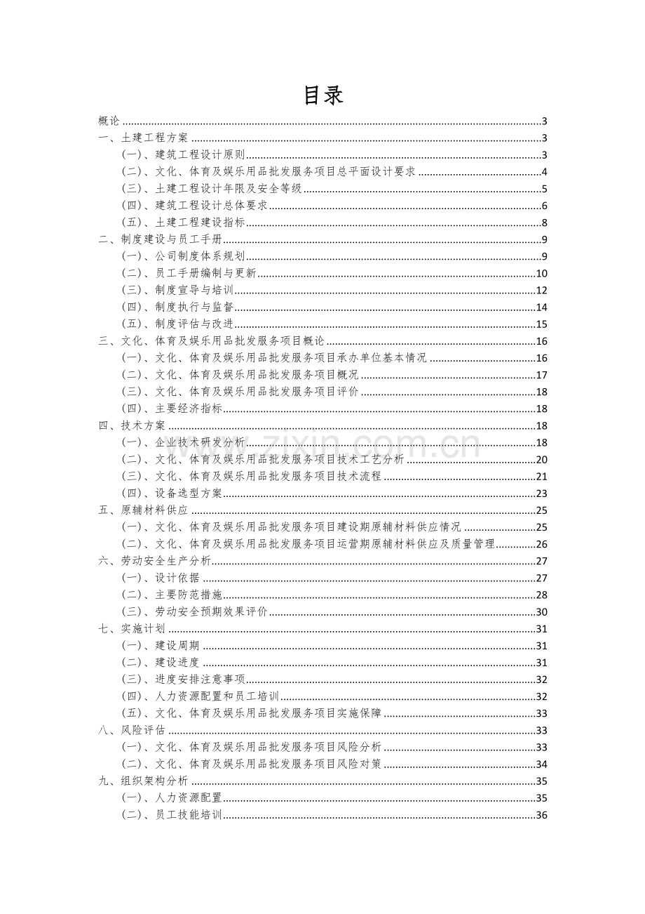 文化、体育及娱乐用品批发服务项目可行性分析报告.docx_第2页