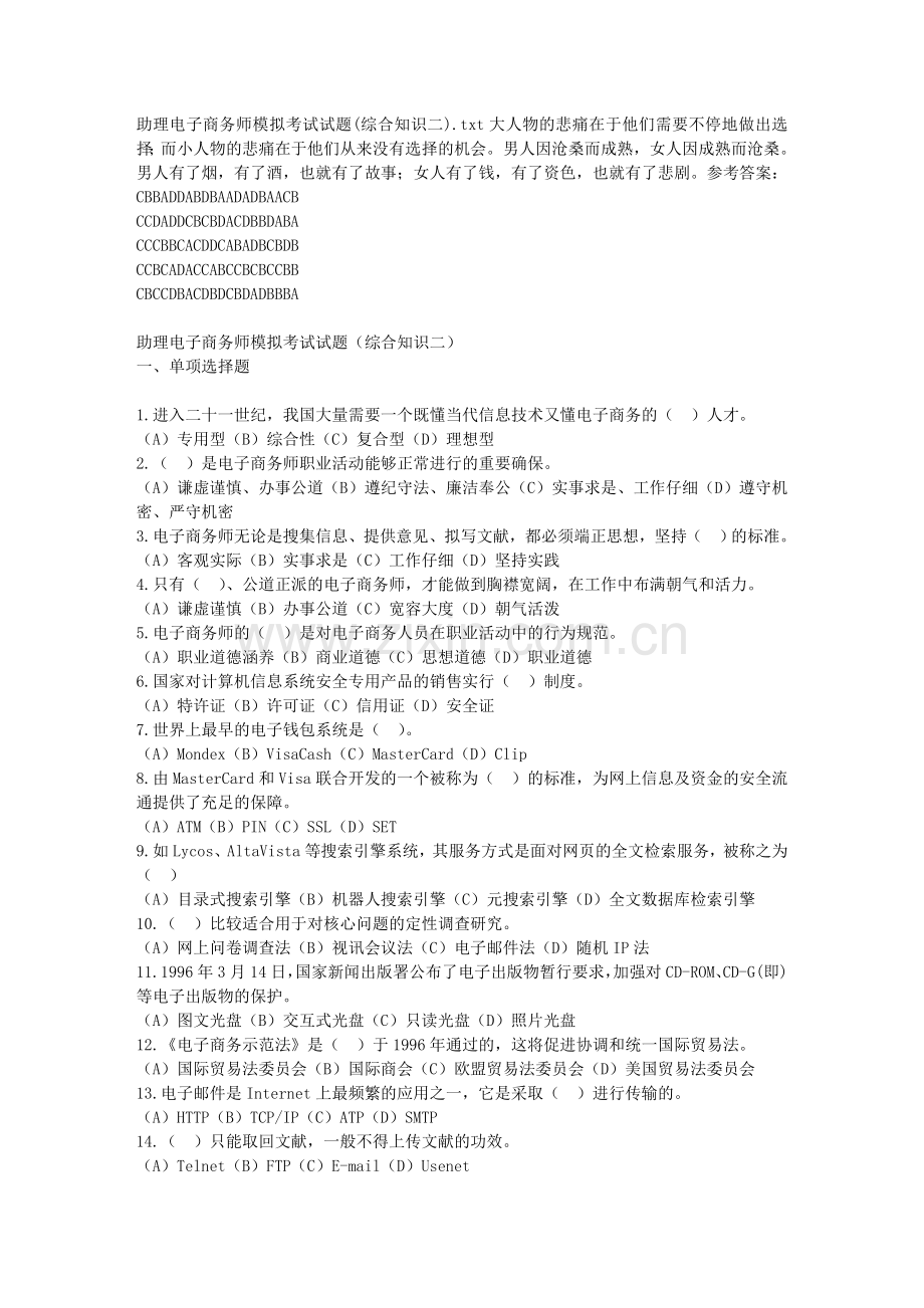 2024年助理电子商务师模拟考试试题综合知识二.doc_第1页
