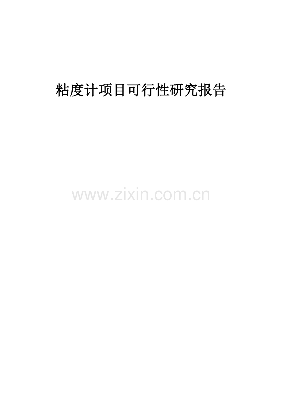 粘度计项目可行性研究报告.docx_第1页