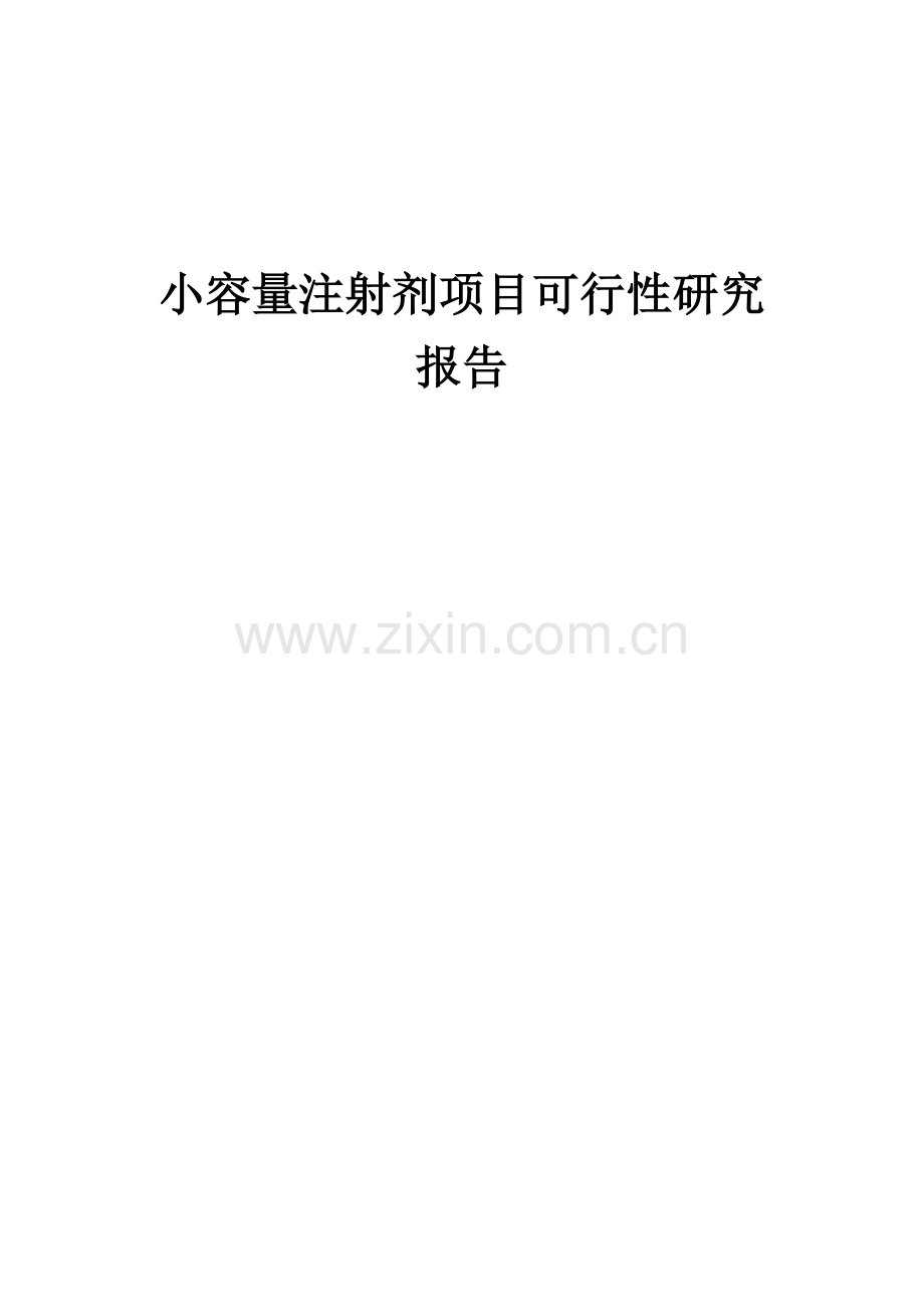 小容量注射剂项目可行性研究报告.docx_第1页