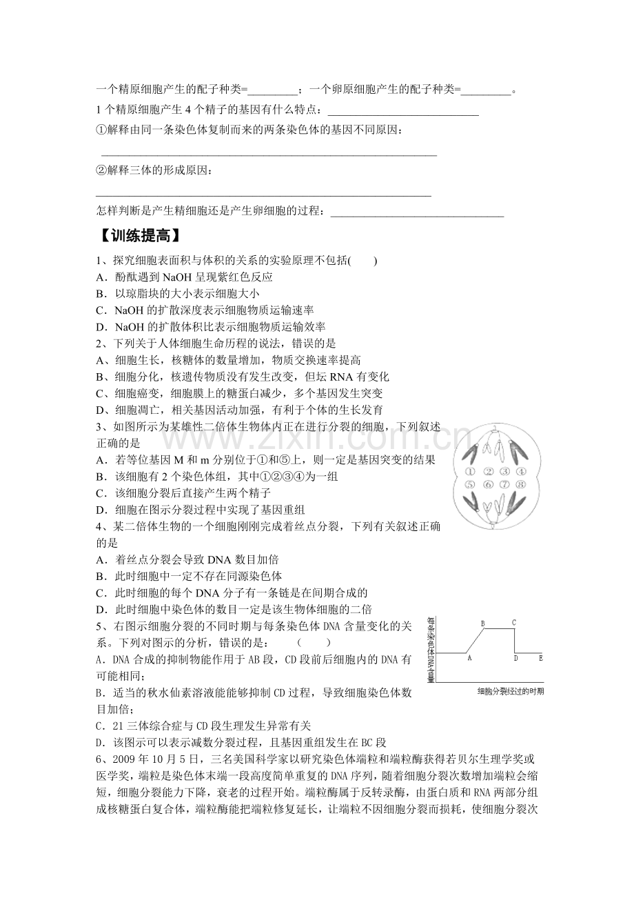 2016届高三生物培优讲义(三).doc_第2页
