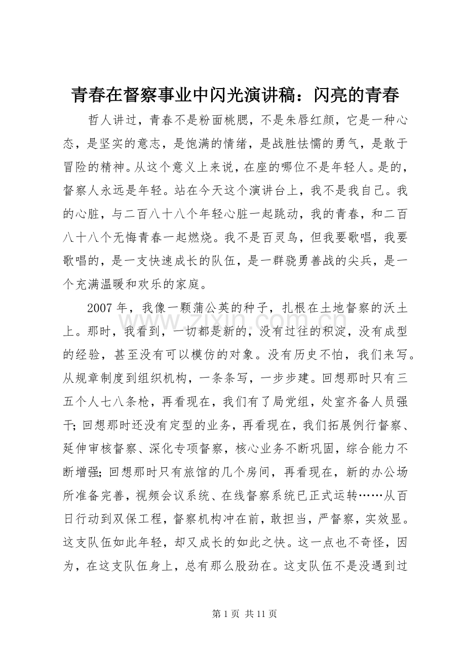 青春在督察事业中闪光演讲稿范文：闪亮的青春.docx_第1页