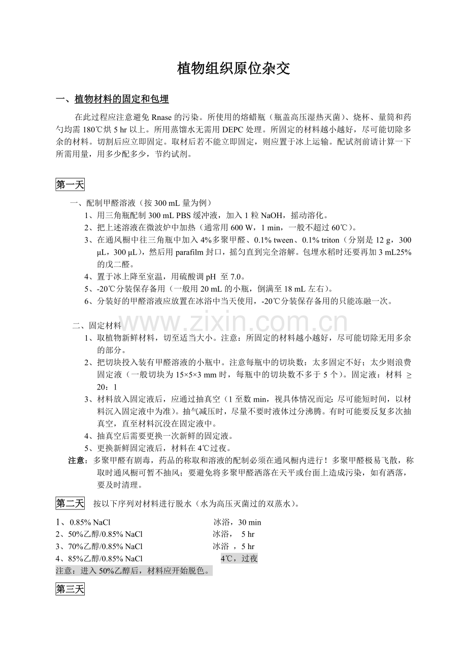 植物组织原位杂交.doc_第1页