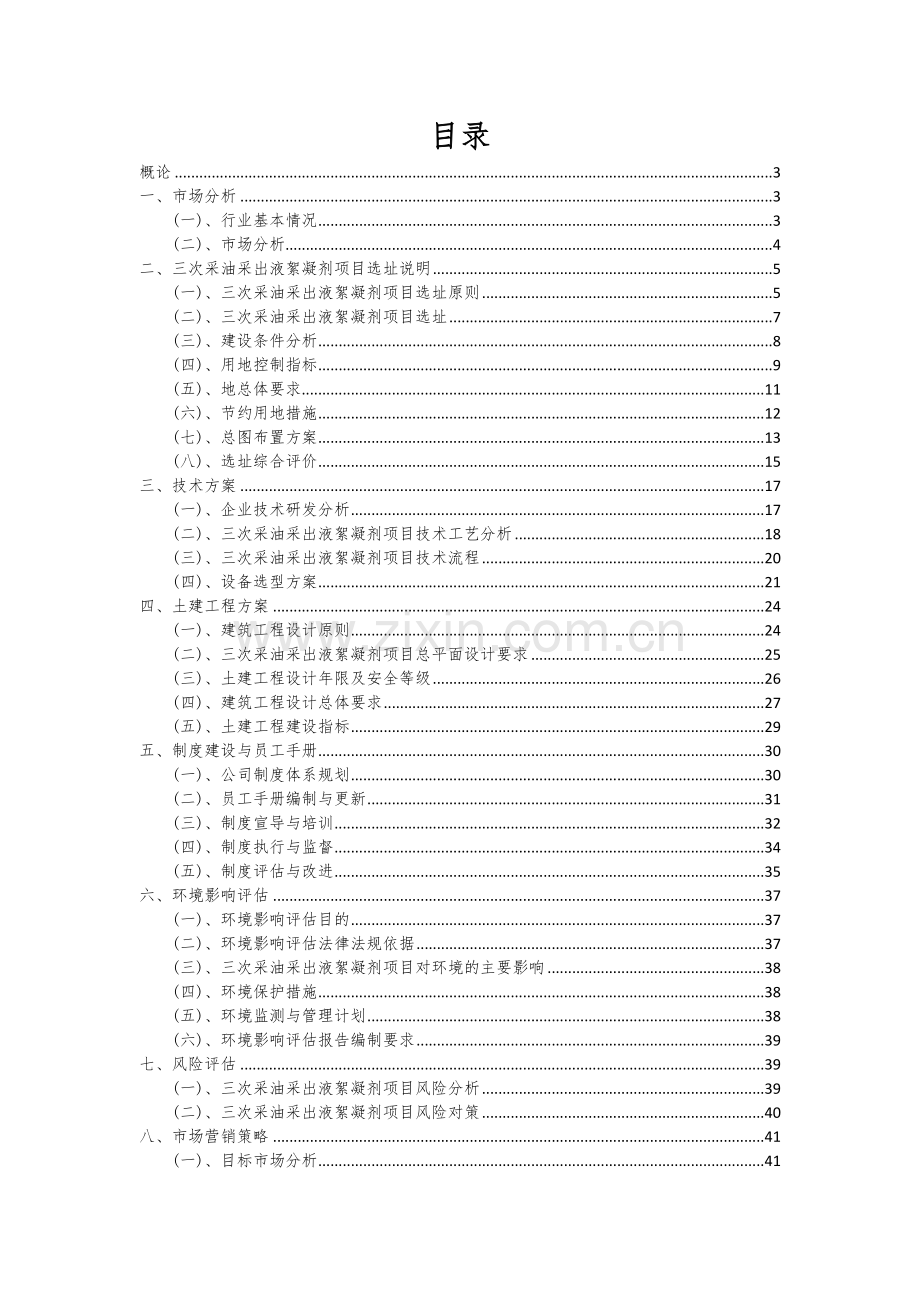三次采油采出液絮凝剂项目可行性研究报告.docx_第2页