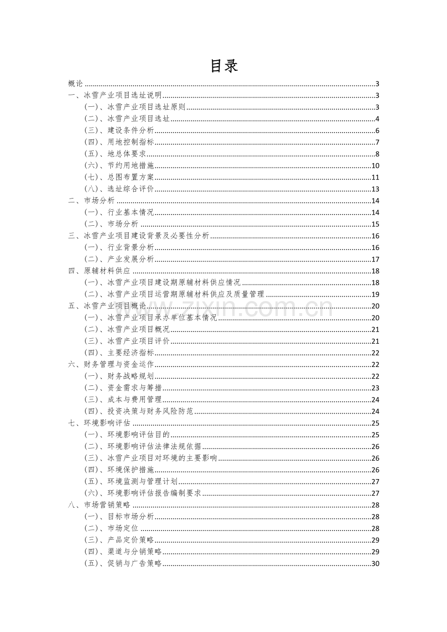 冰雪产业项目可行性分析报告.docx_第2页