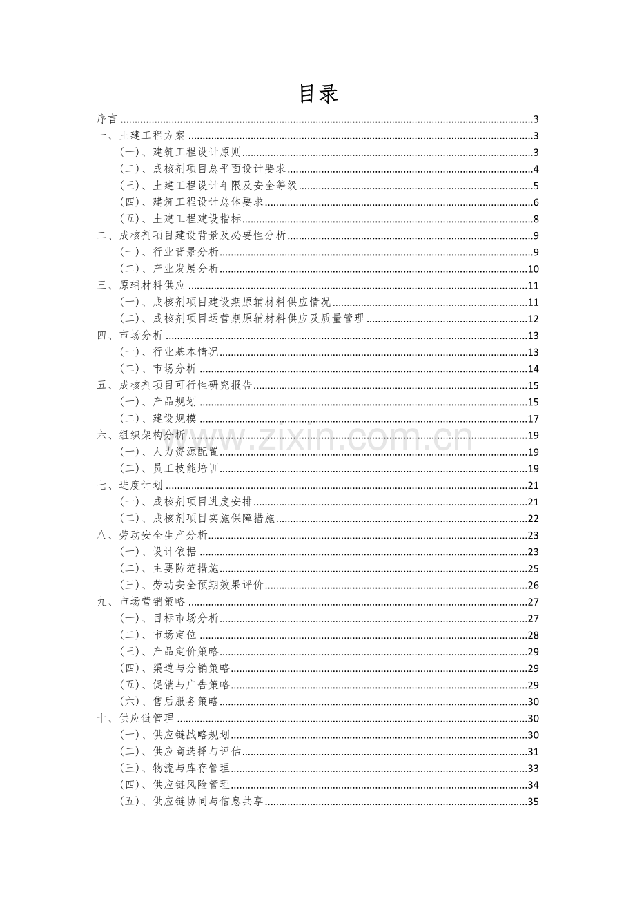 成核剂项目创业计划书.docx_第2页