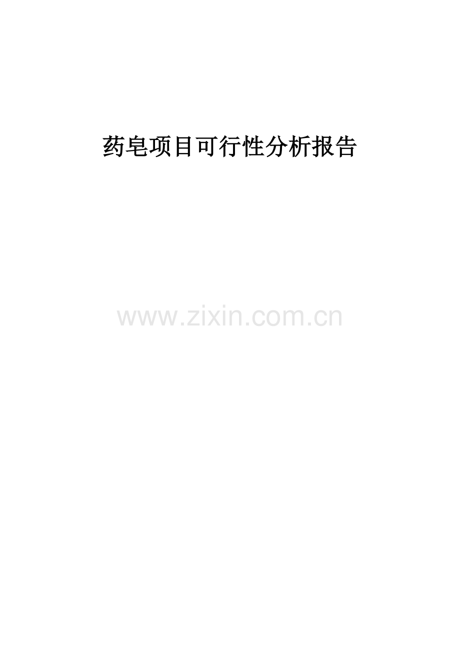 药皂项目可行性分析报告.docx_第1页