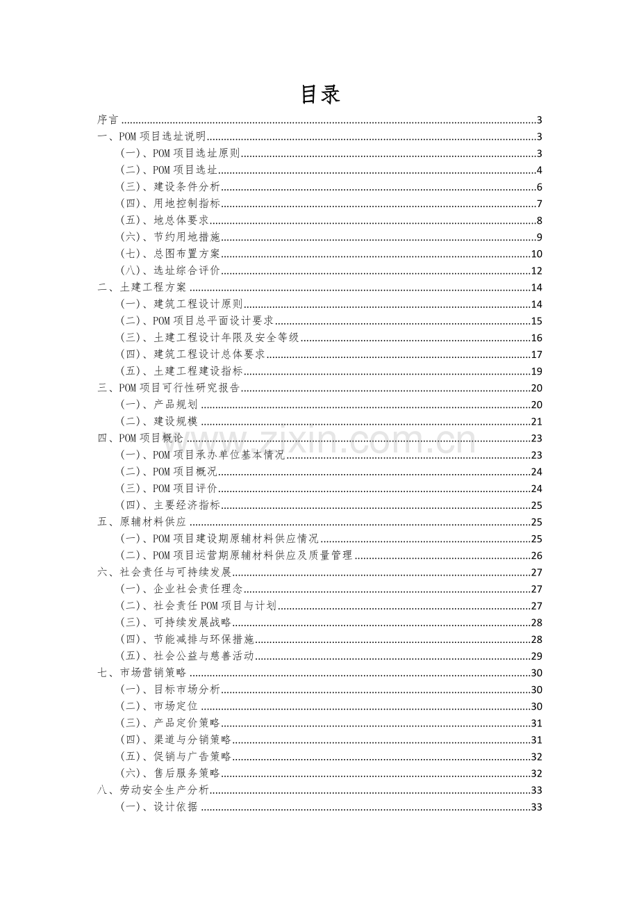 POM项目可行性研究报告.docx_第2页