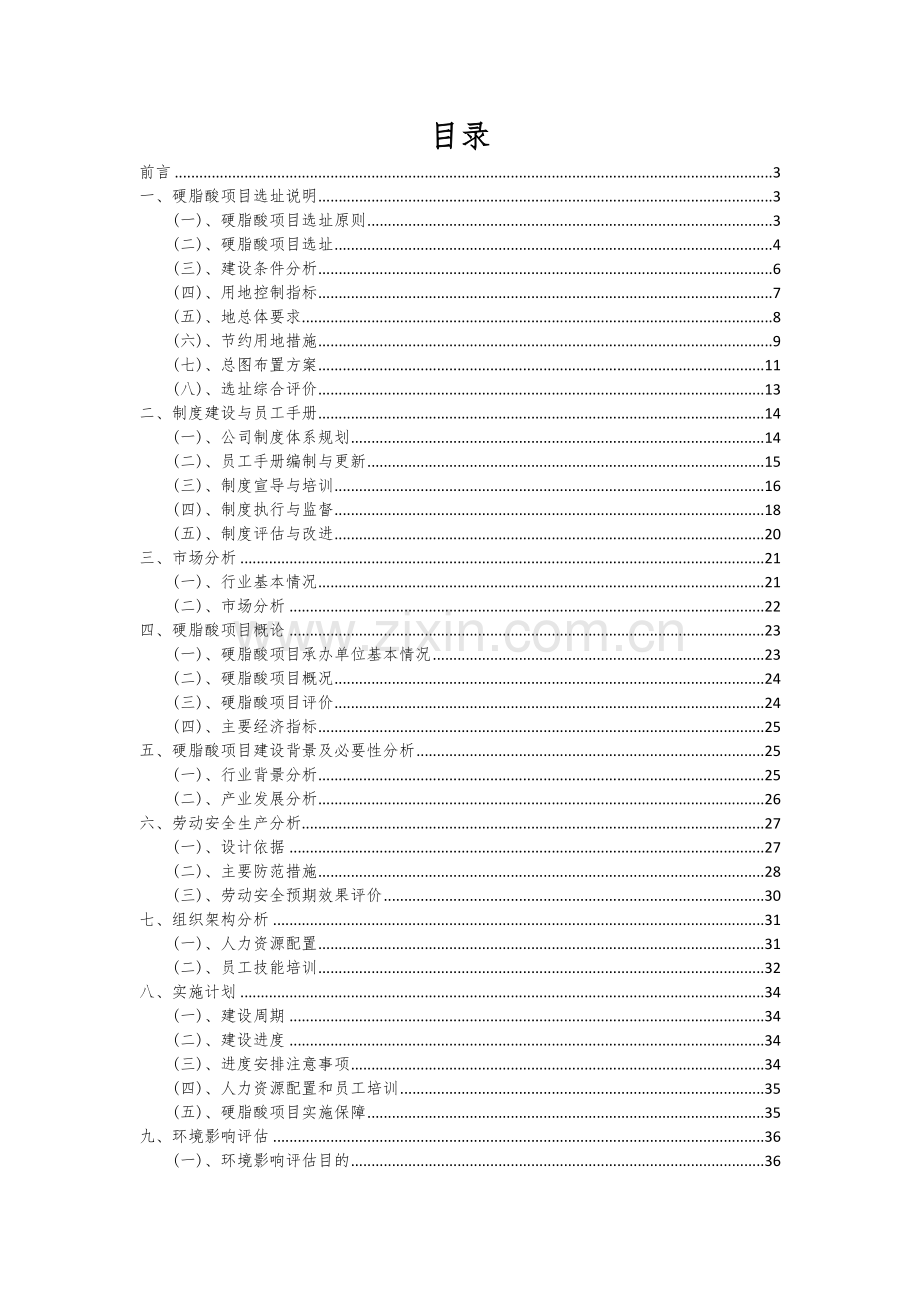 硬脂酸项目创业计划书.docx_第2页