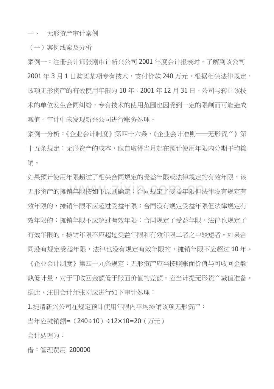 无形资产审计案例手册.docx_第1页