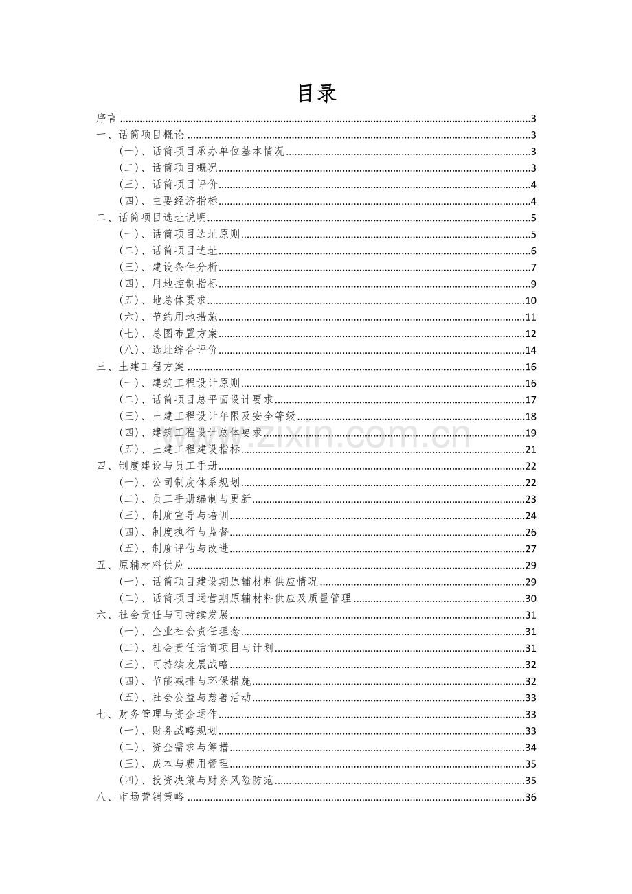话筒项目可行性分析报告.docx_第2页
