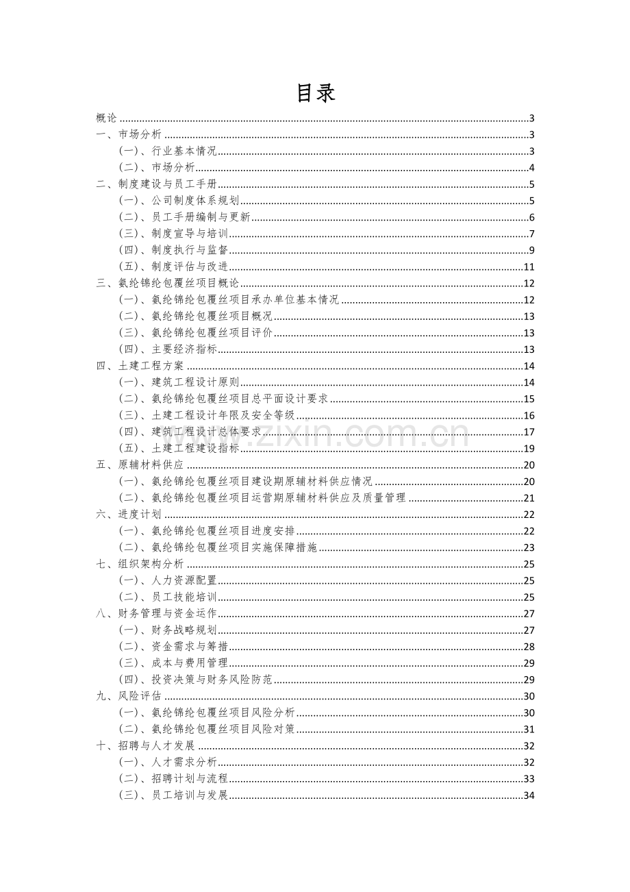 氨纶锦纶包覆丝项目商业计划书.docx_第2页