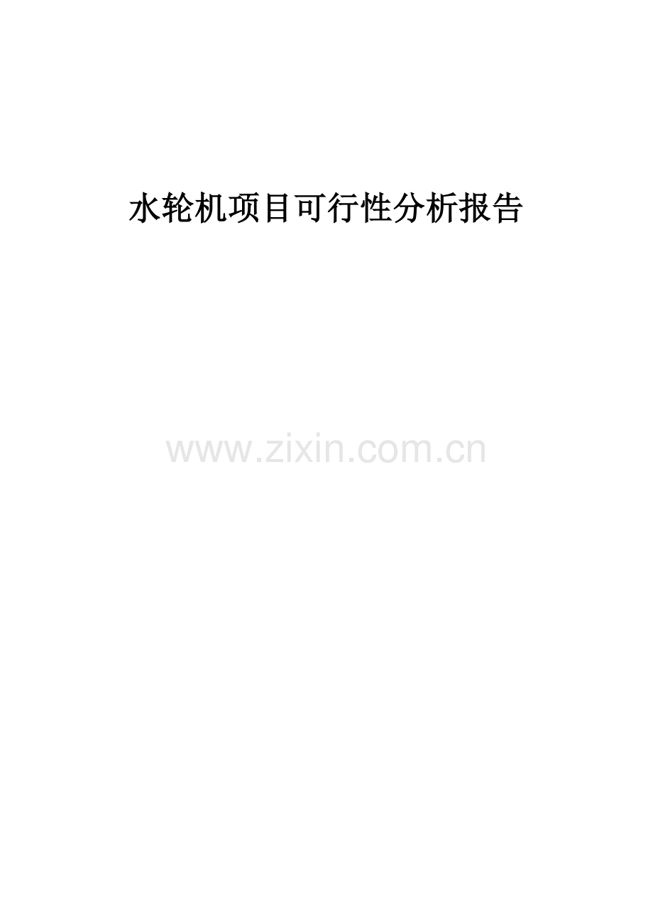 水轮机项目可行性分析报告.docx_第1页