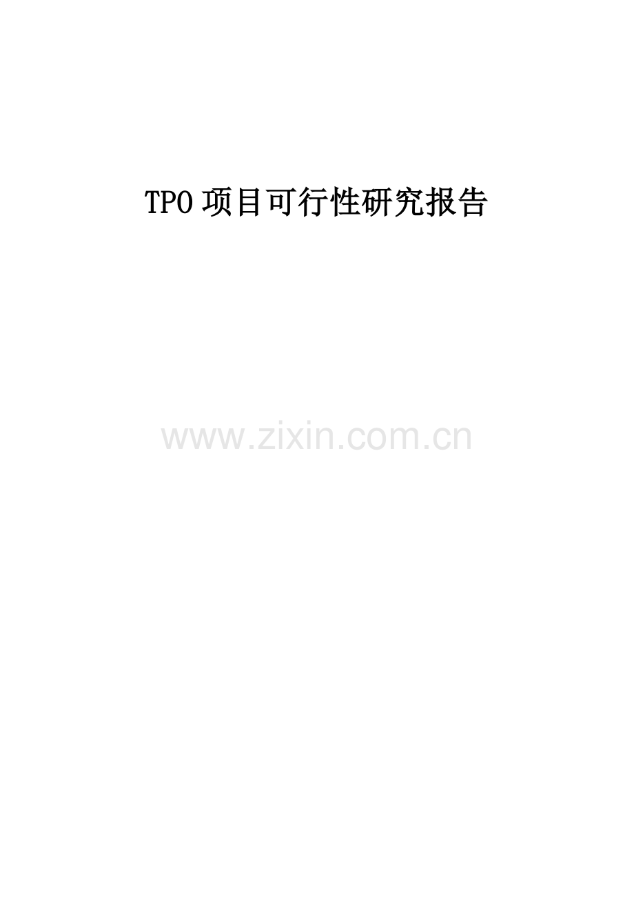 TPO项目可行性研究报告.docx_第1页