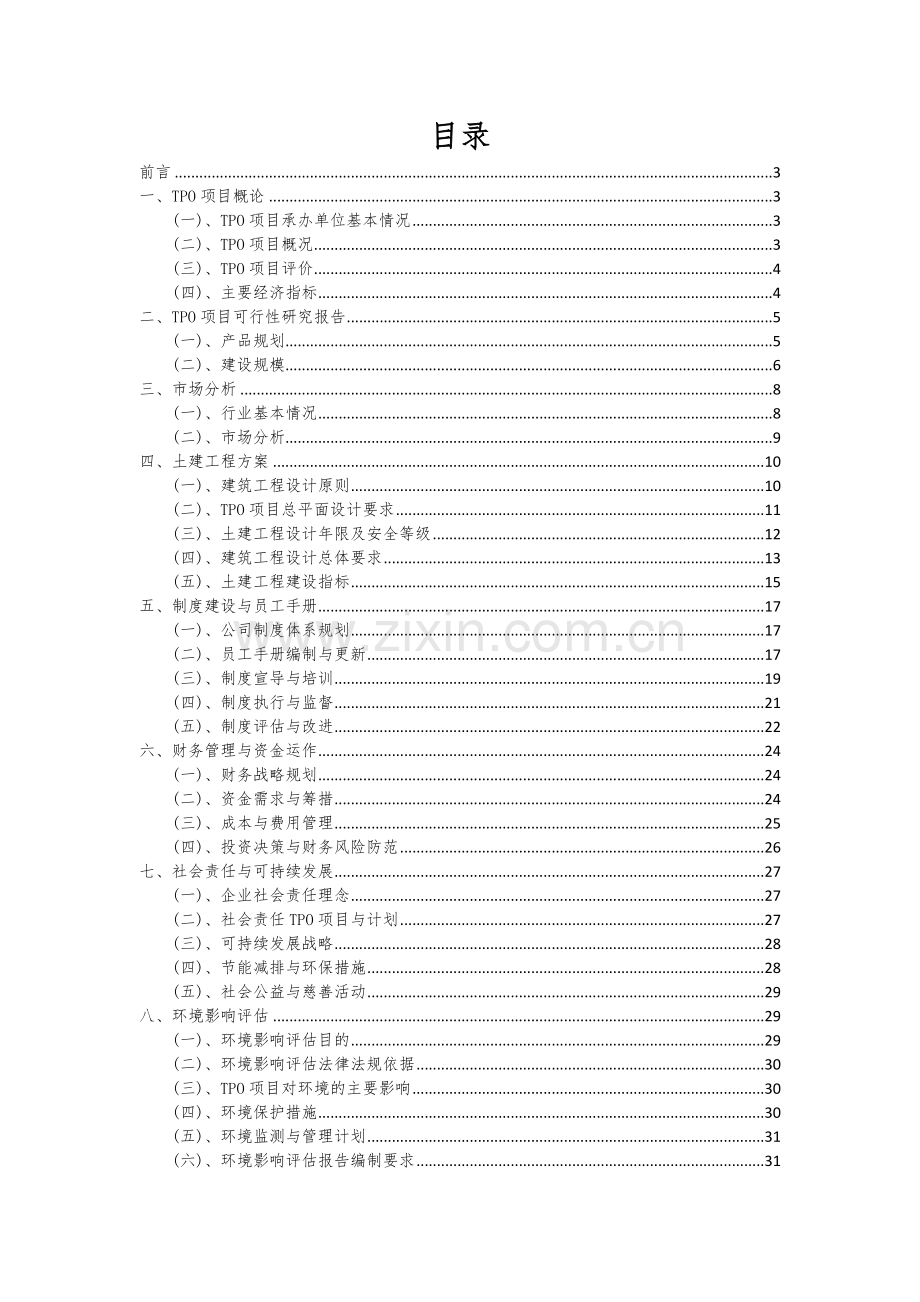 TPO项目可行性研究报告.docx_第2页