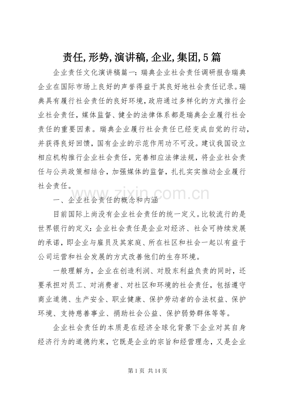 责任,形势,演讲稿范文,企业,集团,5篇.docx_第1页