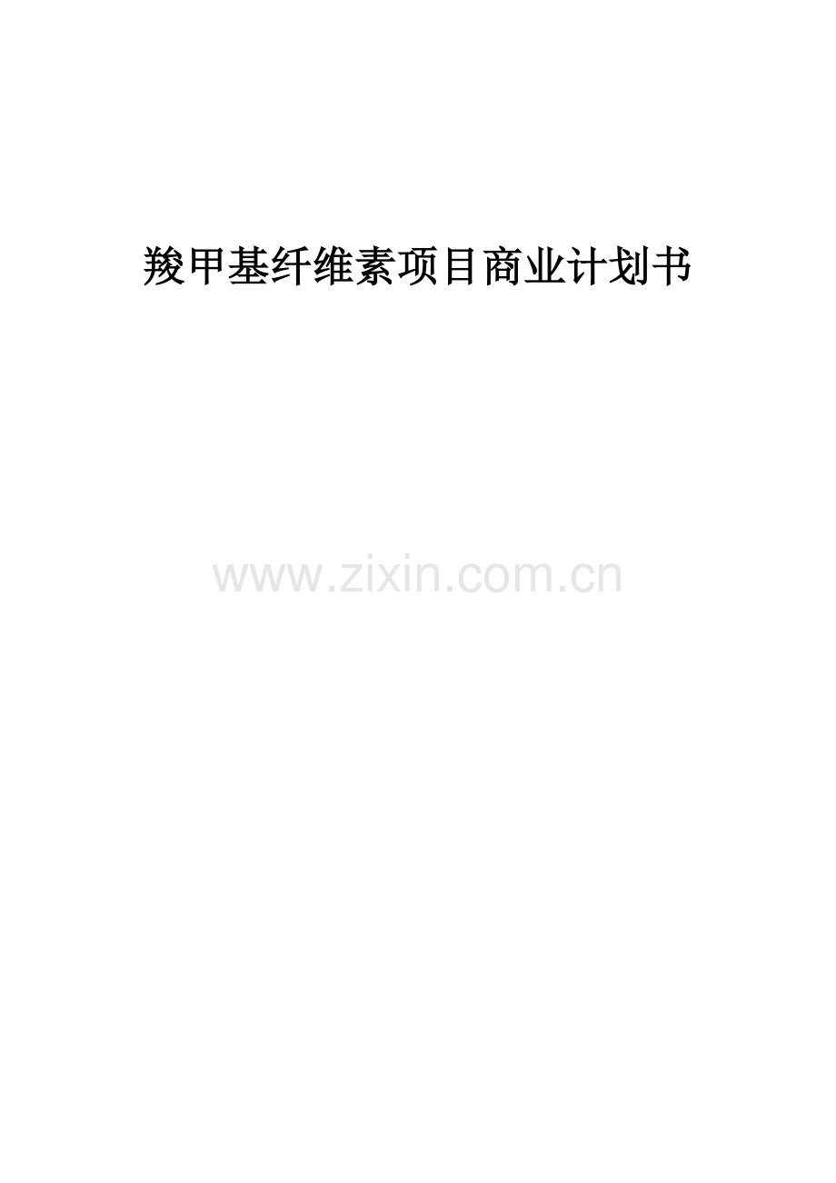羧甲基纤维素项目商业计划书.docx_第1页