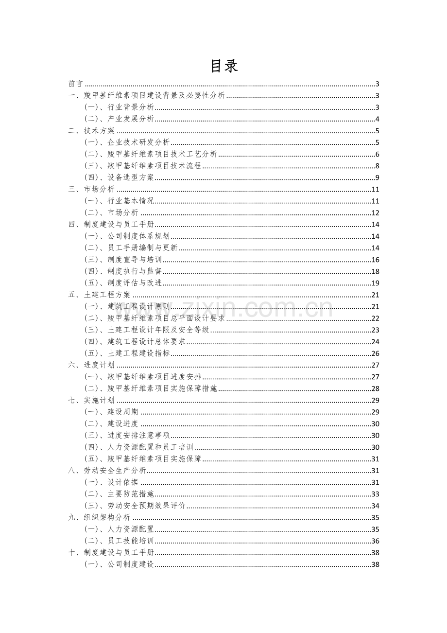 羧甲基纤维素项目商业计划书.docx_第2页