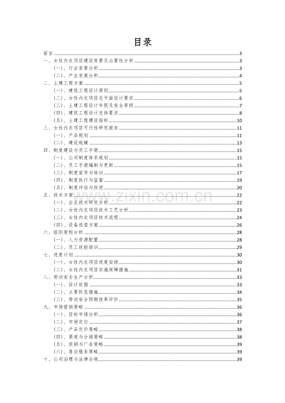女性内衣项目商业计划书.docx_第2页