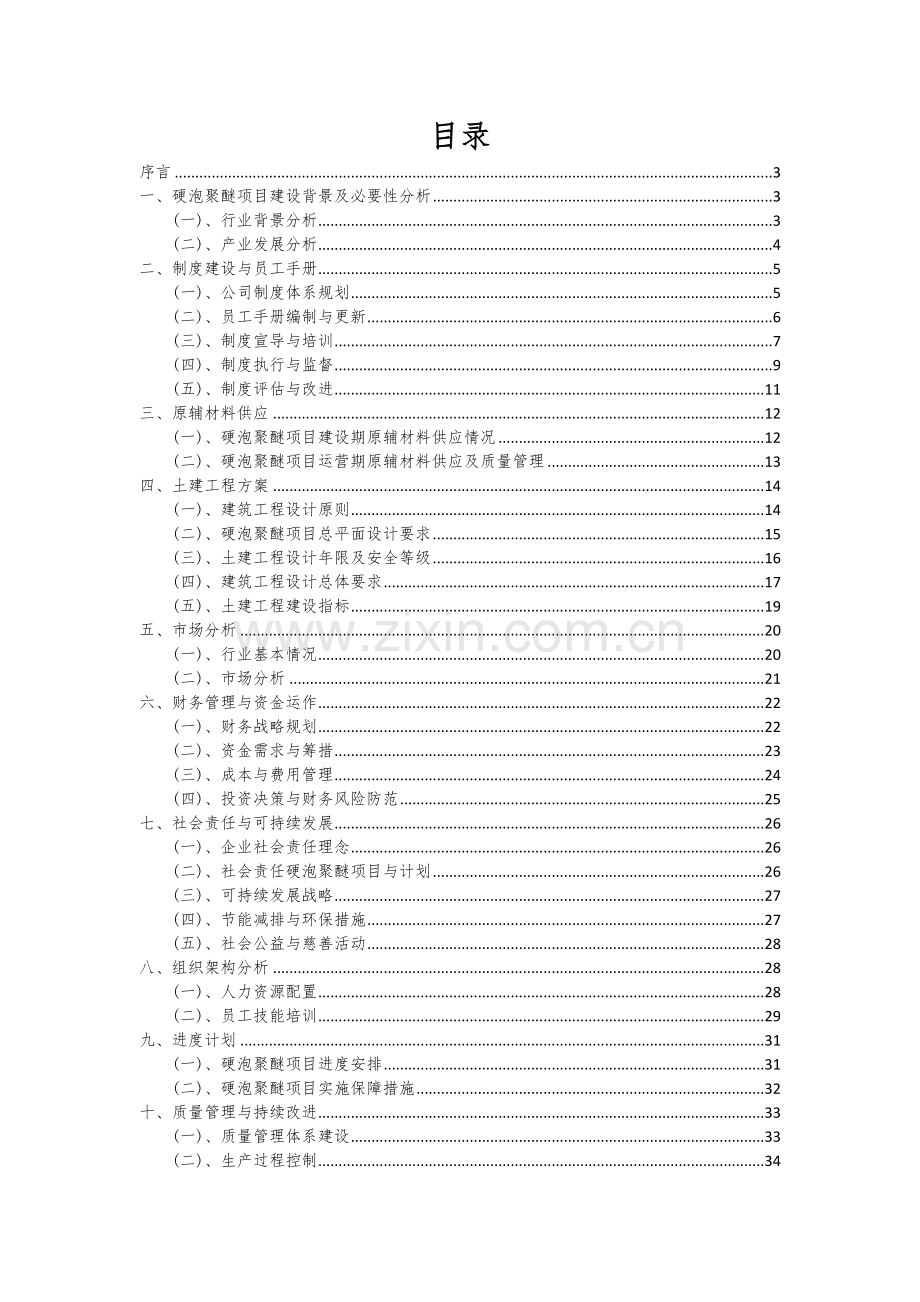 硬泡聚醚项目创业计划书.docx_第2页