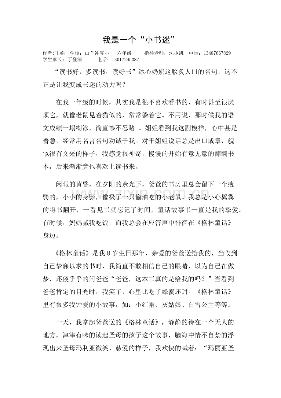 我是一个小书迷(2).docx_第1页
