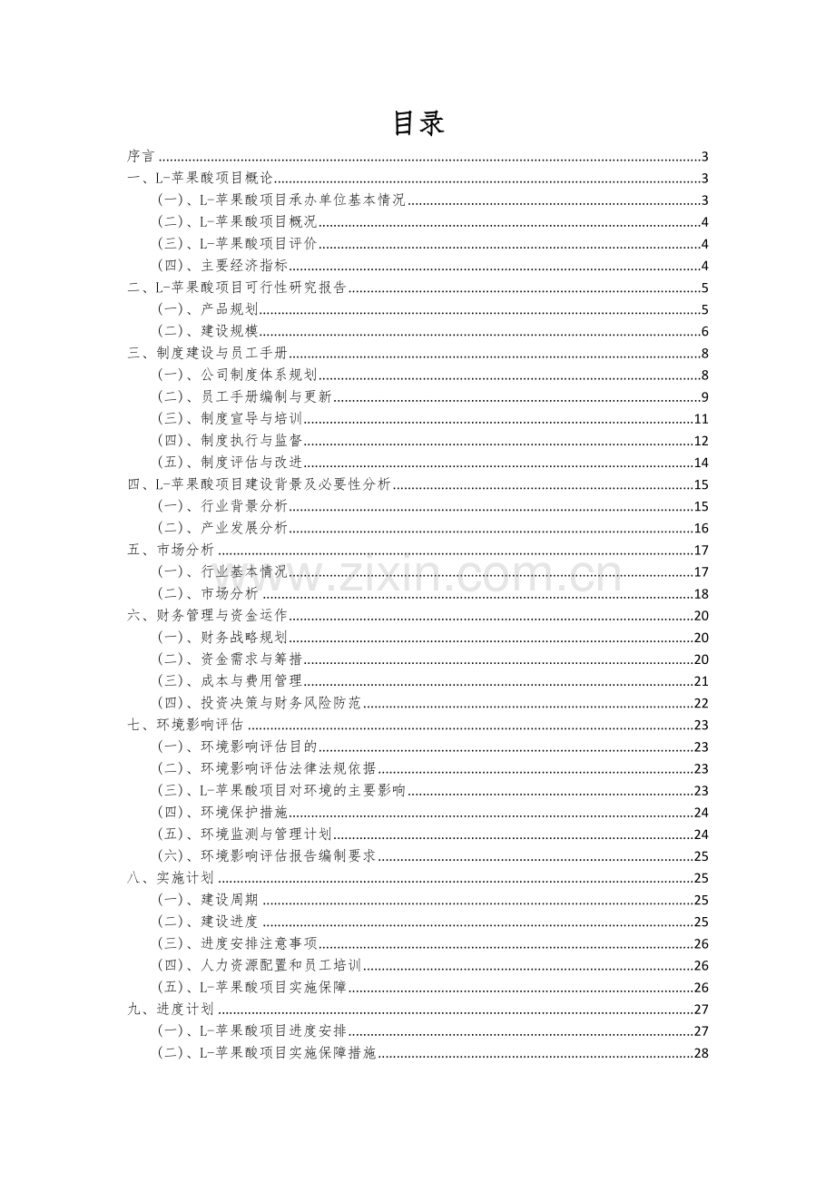L-苹果酸项目可行性研究报告.docx_第2页
